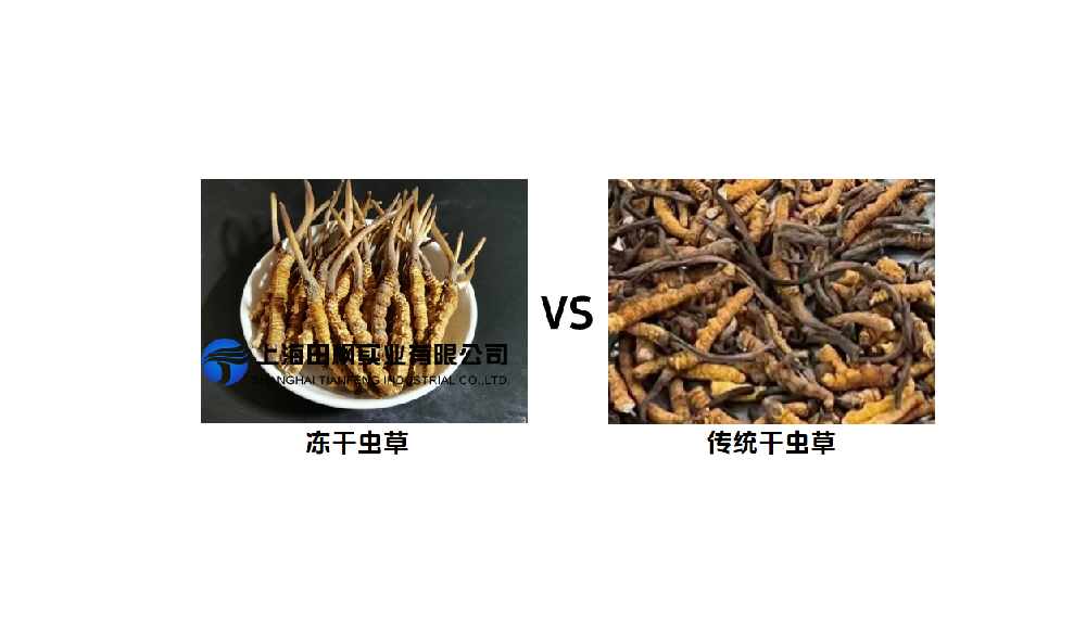 冬蟲(chóng)夏草冷凍干燥機(jī)，活性成分保護(hù)留